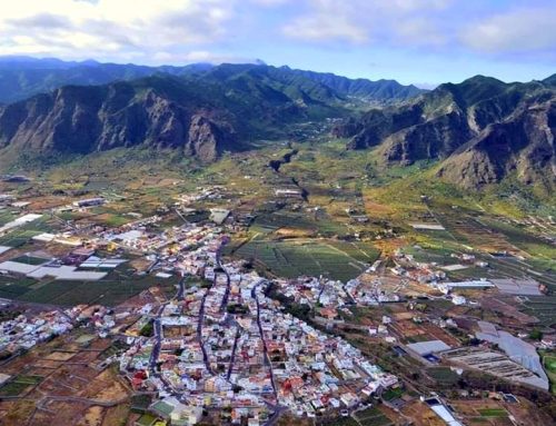 Buenavista del Norte