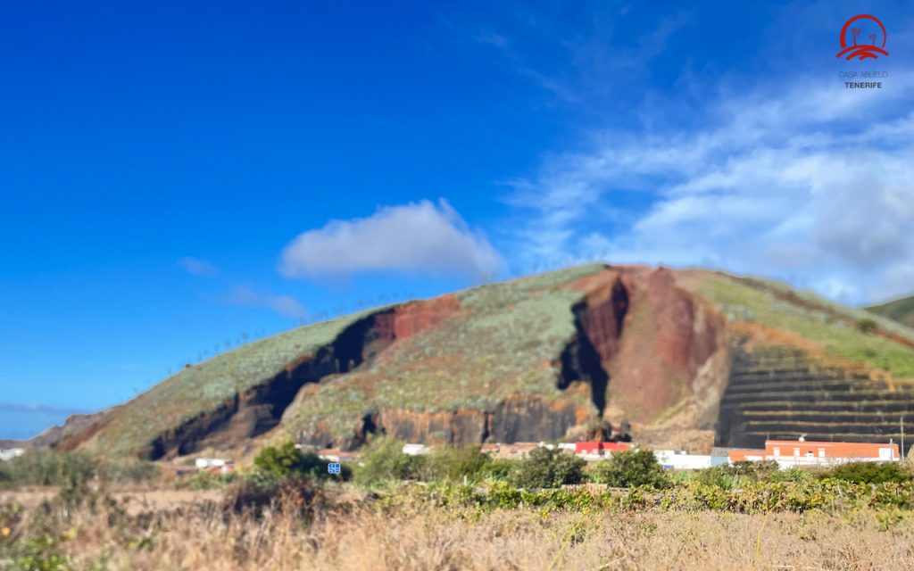 el palmar